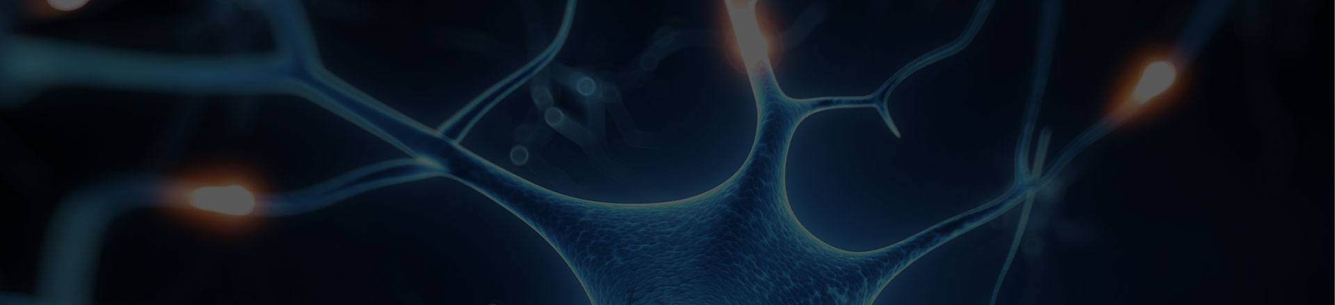 서브 비주얼 사진